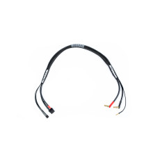 2S-Charging Wire - 60Cm - Xt60 & Xh | 4/5mm & 2mm - NOSRAM - 999233