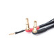 Câble de charge 60cm 2x2S XH PK4/PK4-5 - NOSRAM - 999230