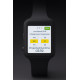 Pit Watch IWI - IWI -IWI-001