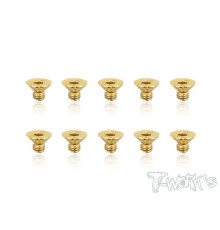 Screws Gold Fhc 3X4mm (10) - T-WORKS - GSS-304C