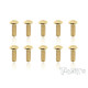 Vis Acier Traitées GOLD BHC 3x8mm (10) - T-WORKS - GSS-308B