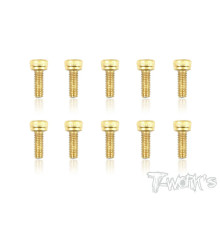 Screws Gold Chc 3X8mm (10) - T-WORKS - GSS-308H