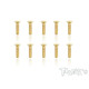 Screws Gold Fhc 3X12mm (10) - T-WORKS - GSS-312C