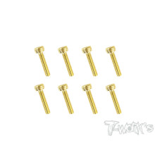 Screws Gold Chc 3X14mm (10) - T-WORKS - GSS-314H