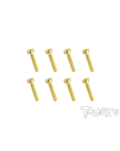 Vis Acier Traitées GOLD CHC 3x14mm (10) - T-WORKS - GSS-314H
