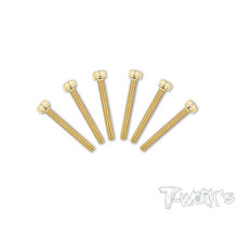 Screws Gold Chc 3X22mm (6) - T-WORKS - GSS-322H