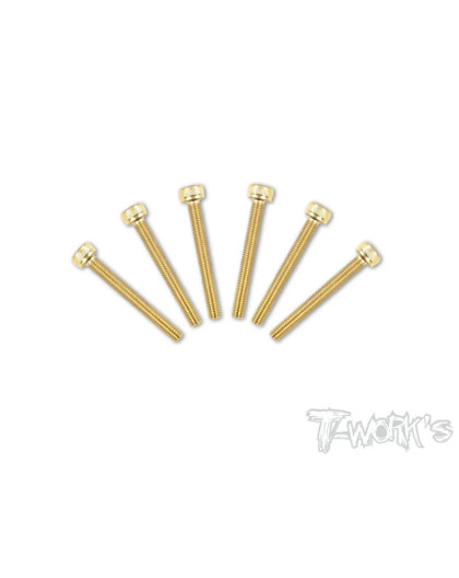 Screws Gold Chc 3X22mm (6) - T-WORKS - GSS-322H