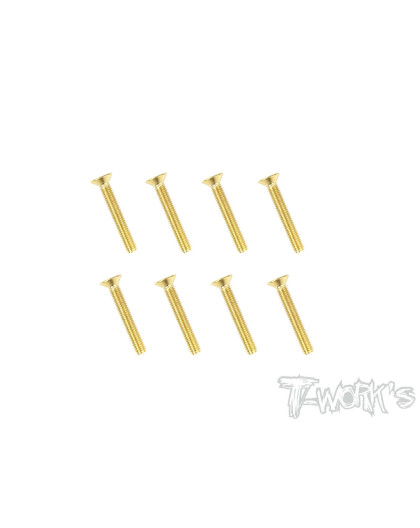 Vis Acier Traitées GOLD FHC 3x20mm (8) - T-WORKS - GSS-320C