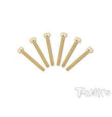 Screws Gold Chc 3X25mm (6) - T-WORKS - GSS-325H