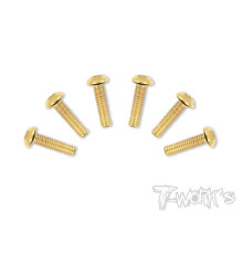 Vis Acier Traitées GOLD BHC 4x16mm (6) - T-WORKS - GSS-416B