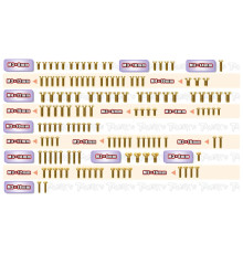 Gold Steel Screw Set 145pcs. (For Xray XB8'26) - T-WORKS - GSS-XB8'26