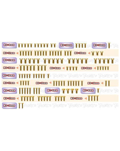 Gold Steel Screw Set 145pcs. (For Xray XB8'26) - T-WORKS - GSS-XB8'26