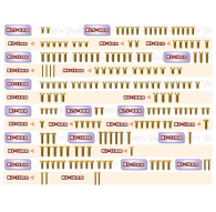 Gold Steel Screw Set 178Pcs Rc8 B4.1 - T-WORKS - GSS-RC8B4.1