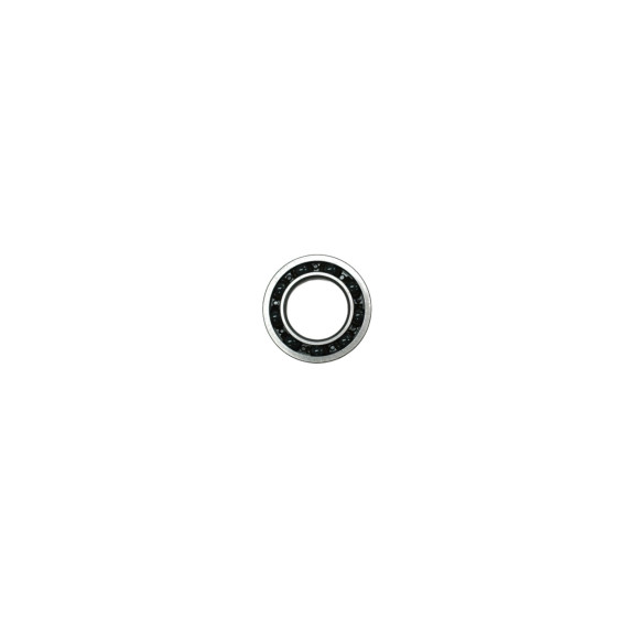 REAR BEARING SPECIAL 14X25,8X6 (1) - MAX POWER - MX16800