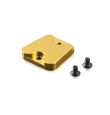 BRASS CHASSIS WEIGHT MIDDLE - 341188 - XRAY