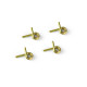 4-SHOE CLUTCH SPRINGS - GOLD - SOFT (4) - 358480 - XRAY