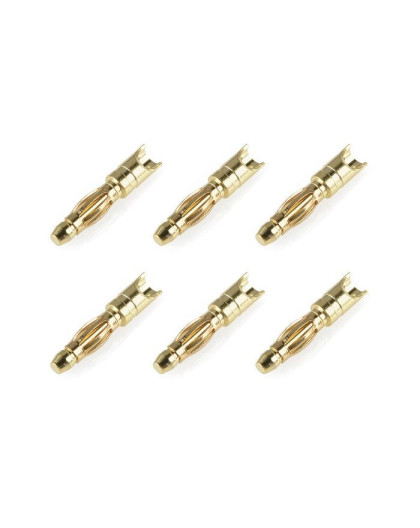 Prise male 2.0mm Spring Type - 6 pcs - CORALLY - C-50170