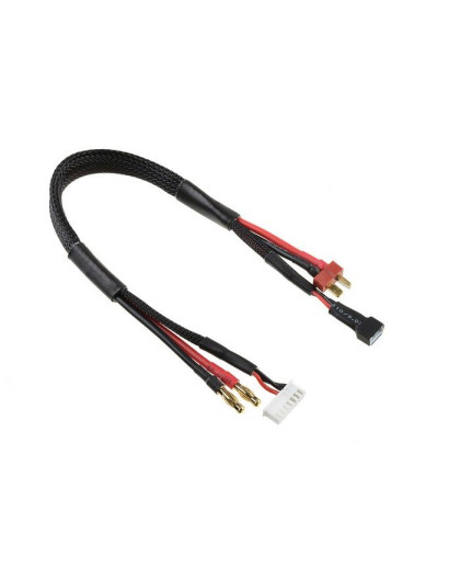 Câble 4mmGold-Tplug + 6SXH-2SXH - CORALLY - C-50281