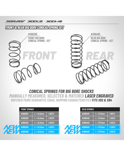 FRONT BIG BORE CONICAL SPRING-SET L42.5MM -5 DOTS (2) - XRAY - 368385