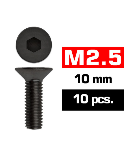M2,5x10mm FLAT HEAD SCREWS (10 pcs) - UR1612510 - ULTIMATE