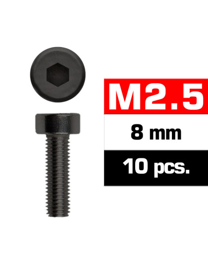 Vis CHC M2.5x8mm (x10) - ULTIMATE - UR1632508