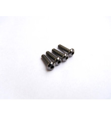  Titanium Hex Socket Button Head Screw M2x8 - 48016 - HIRO SEIKO