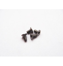  Titanium Hex Socket Flat Head Screw M2x4 (4) - 48111 - HIRO SEIKO