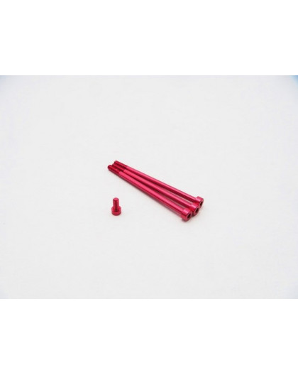  XeRun V10 G2 Aluminum Screw Set [Red] - 48337 - HIRO SEIKO