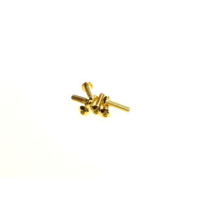  Hex Button Screw M3x12 [24K_Gold] - 69571 - HIRO SEIKO