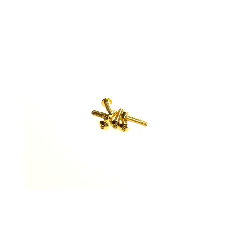  Hex Button Screw M3X12  [24K_Gold] - HIRO SEIKO - 69571