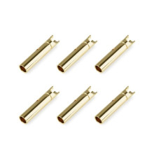 TEAM CORALLY - BULLIT CONNECTO R 2.0MM - FEMALE - GOLD PLATED - C-501