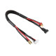 Câble 4mmGold-Tplug + 6SXH-4SXH - CORALLY - C-50283